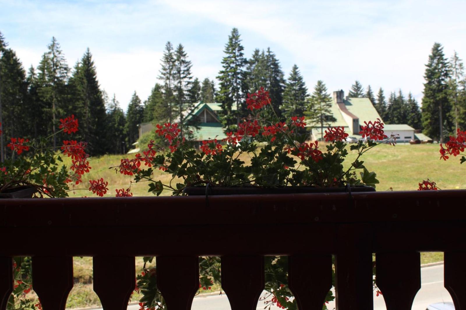 In Hotel Zlatar Ex Zlatarski Biseri Nova Varoš 外观 照片