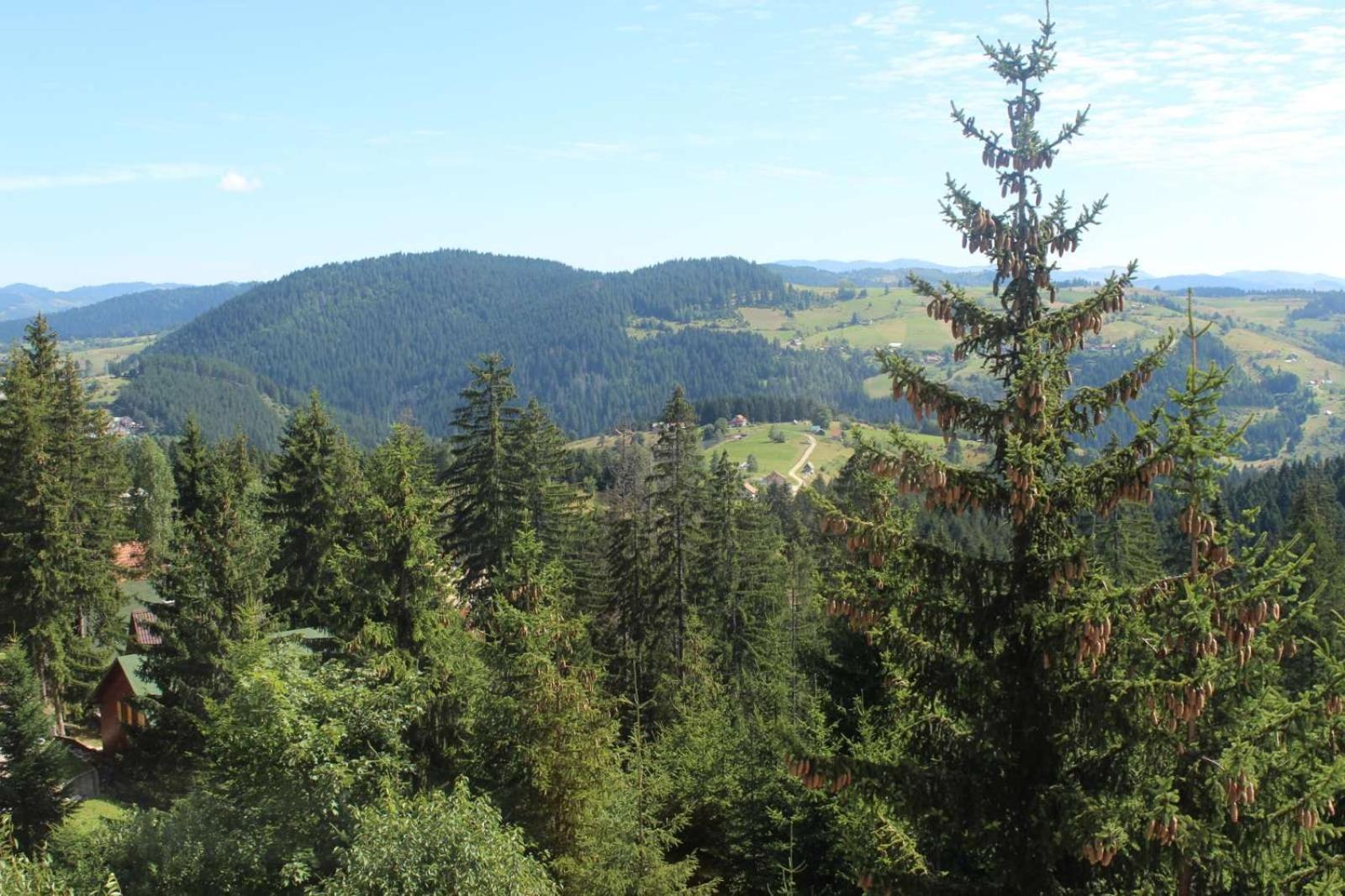 In Hotel Zlatar Ex Zlatarski Biseri Nova Varoš 外观 照片