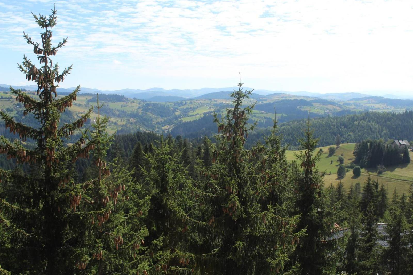 In Hotel Zlatar Ex Zlatarski Biseri Nova Varoš 外观 照片