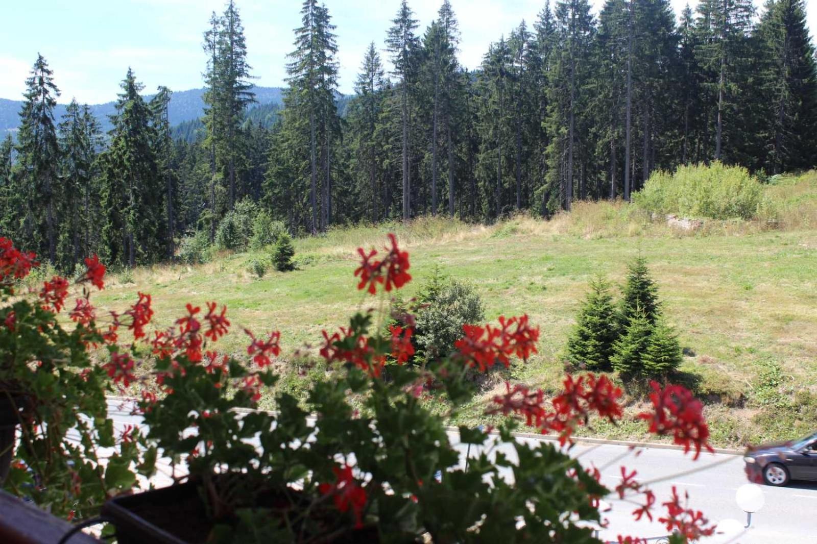 In Hotel Zlatar Ex Zlatarski Biseri Nova Varoš 外观 照片
