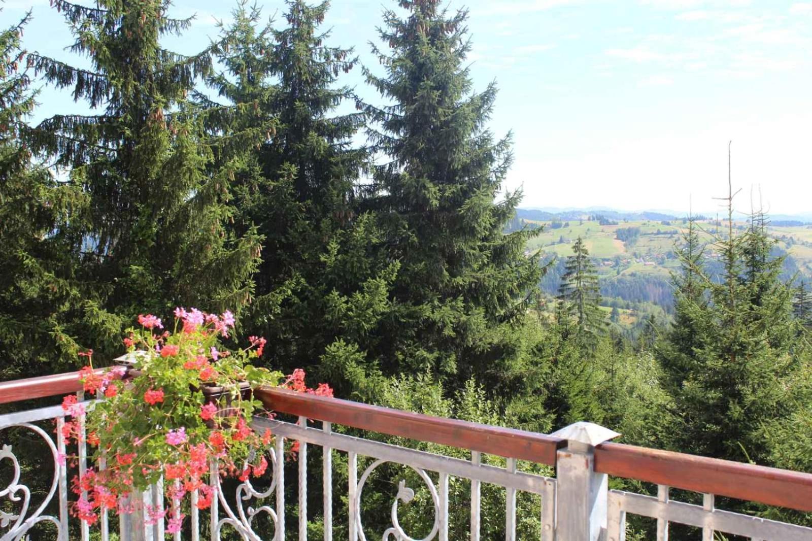 In Hotel Zlatar Ex Zlatarski Biseri Nova Varoš 外观 照片